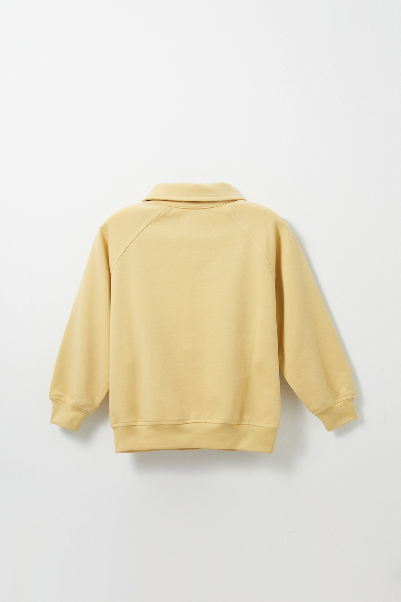Yellow Embroidered Detailed Raglan Sleeve Sweatshirt - 4